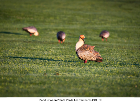 Biodiversidad